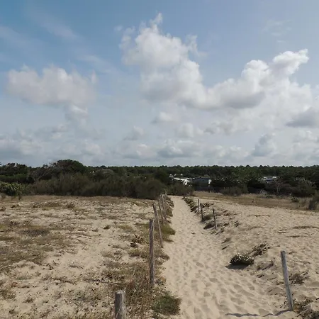 Mobil-home 3 Ch 2 Sdb Vue Dune Et Foret Acces Ocean Dans Avec Parc Aquatique مكان تخييم *